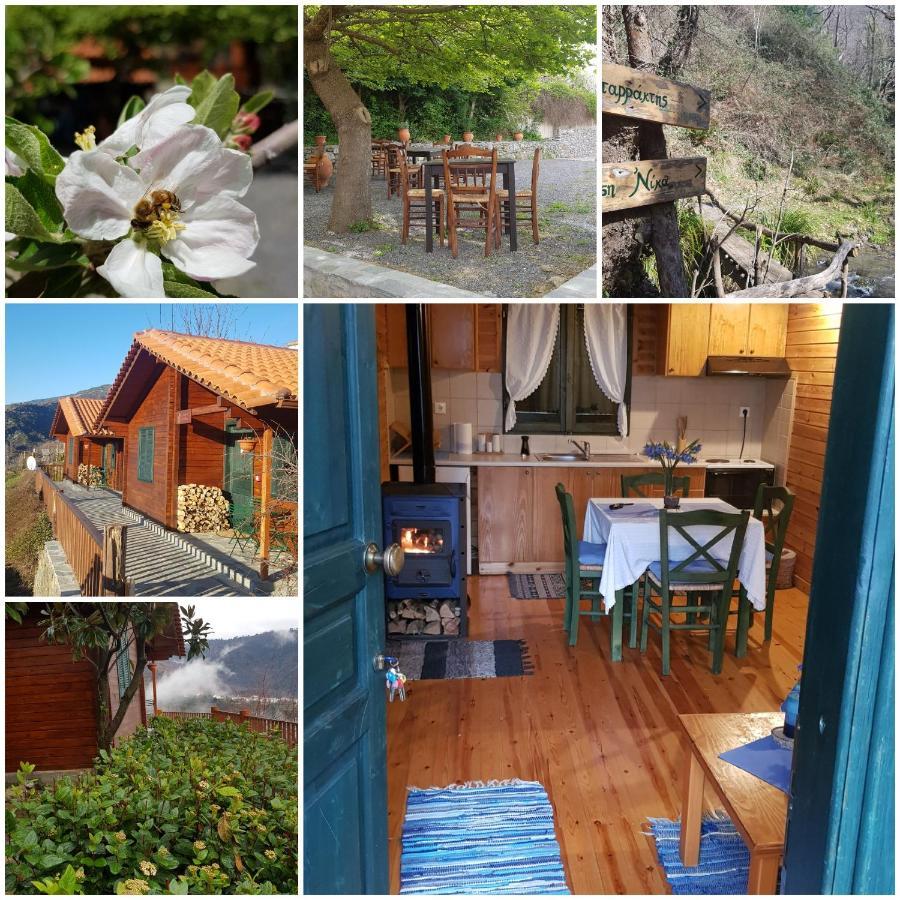 Alagonia Country Homes מראה חיצוני תמונה