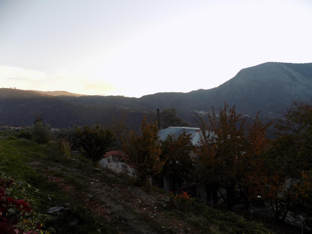 Alagonia Country Homes מראה חיצוני תמונה