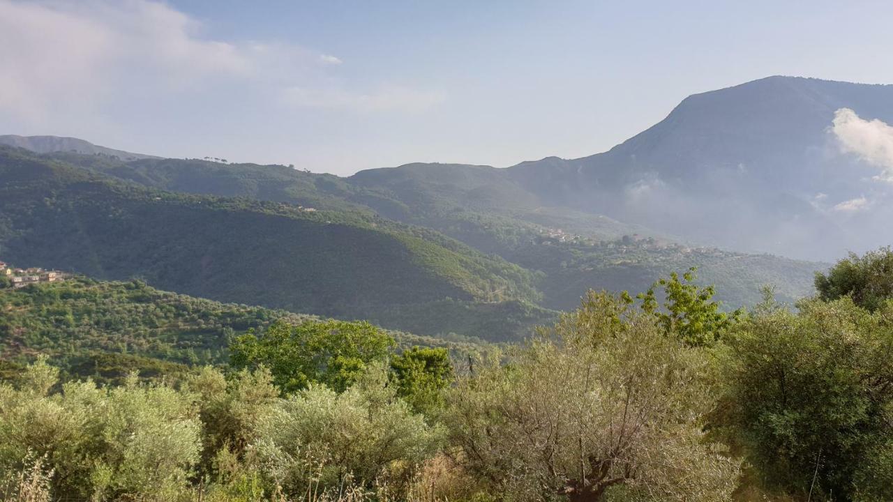 Alagonia Country Homes מראה חיצוני תמונה