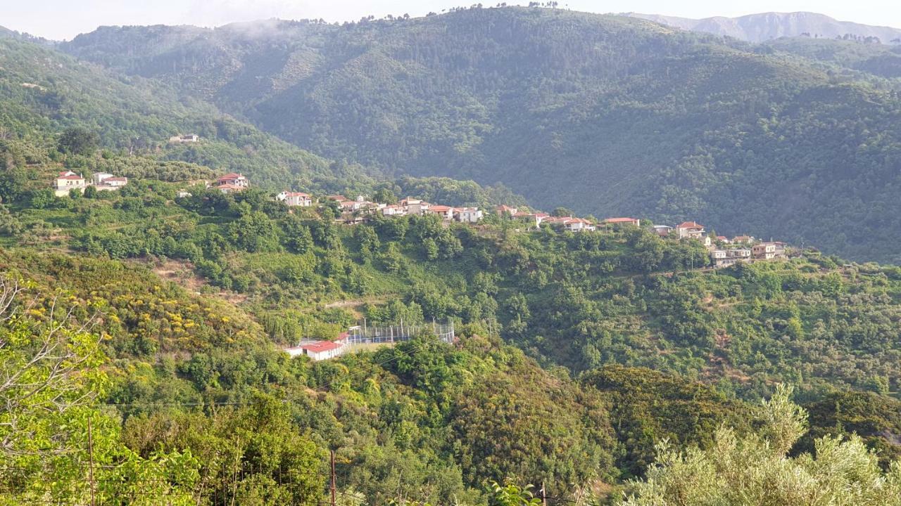 Alagonia Country Homes מראה חיצוני תמונה