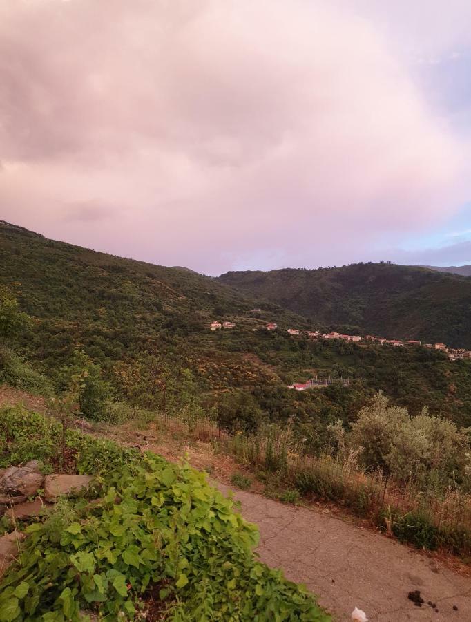 Alagonia Country Homes מראה חיצוני תמונה