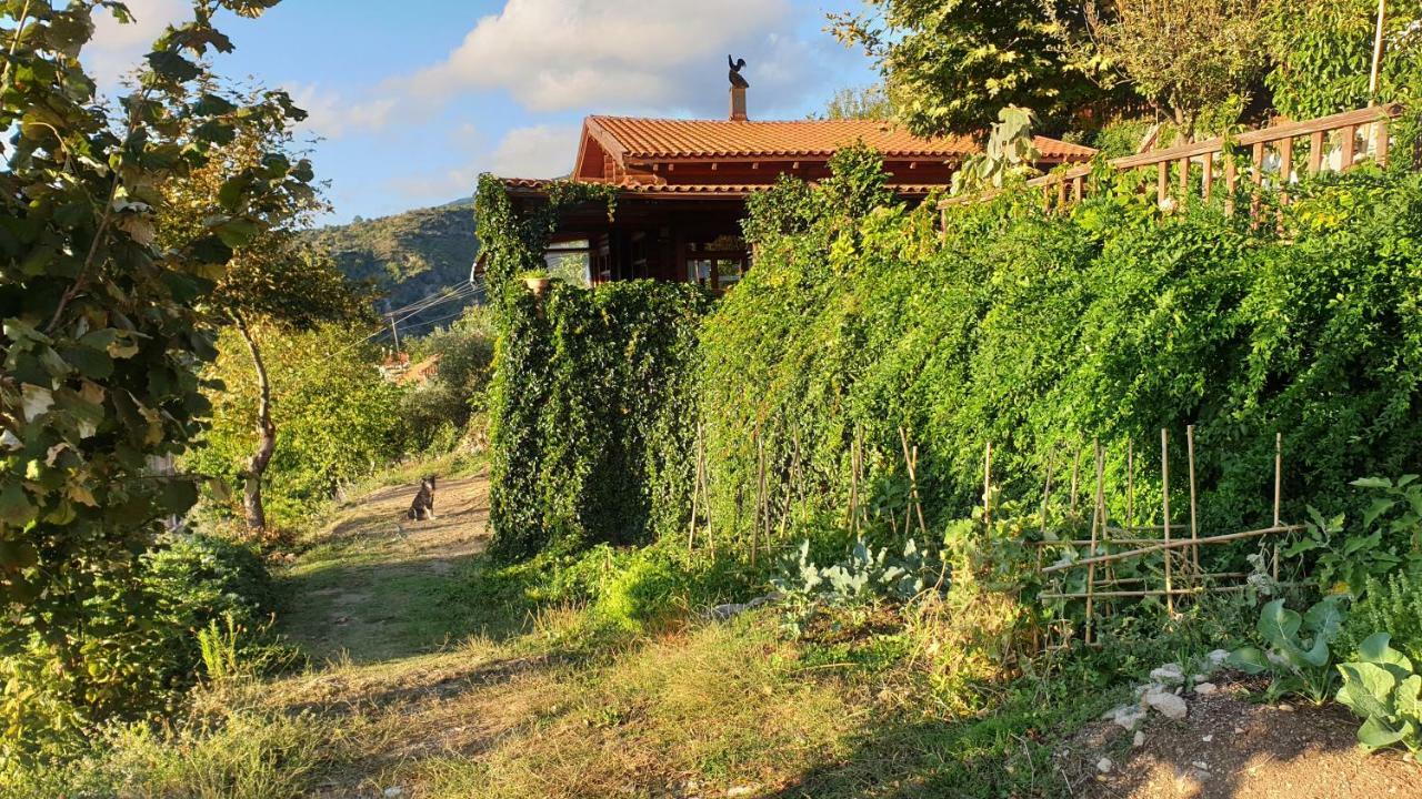 Alagonia Country Homes מראה חיצוני תמונה