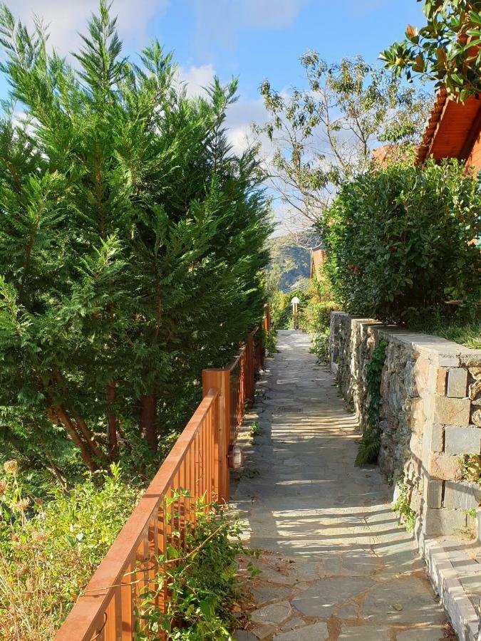 Alagonia Country Homes מראה חיצוני תמונה