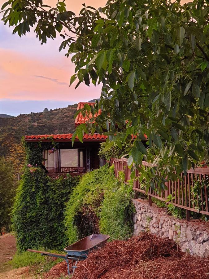 Alagonia Country Homes מראה חיצוני תמונה